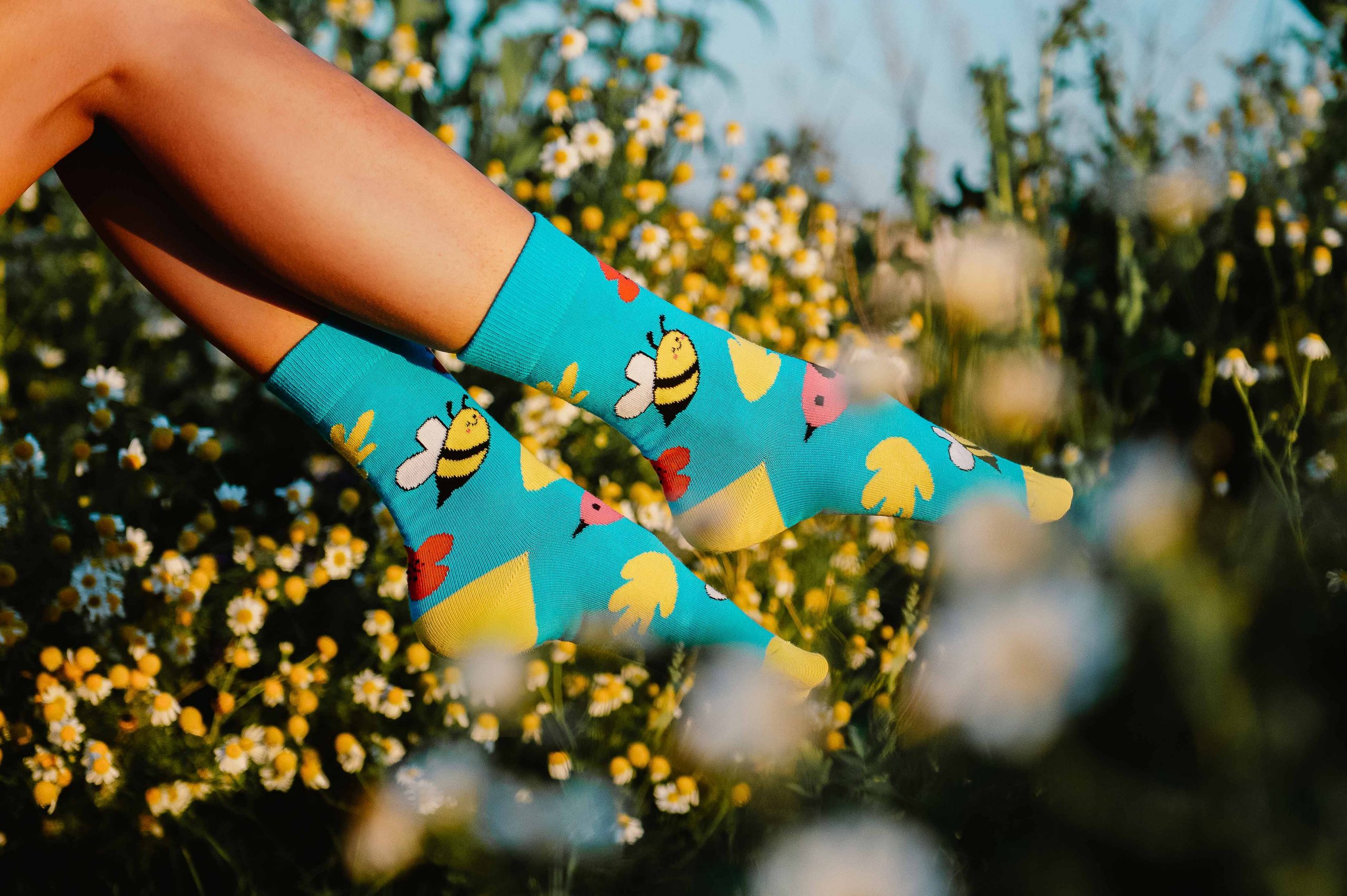 Veselé ponožky Jar