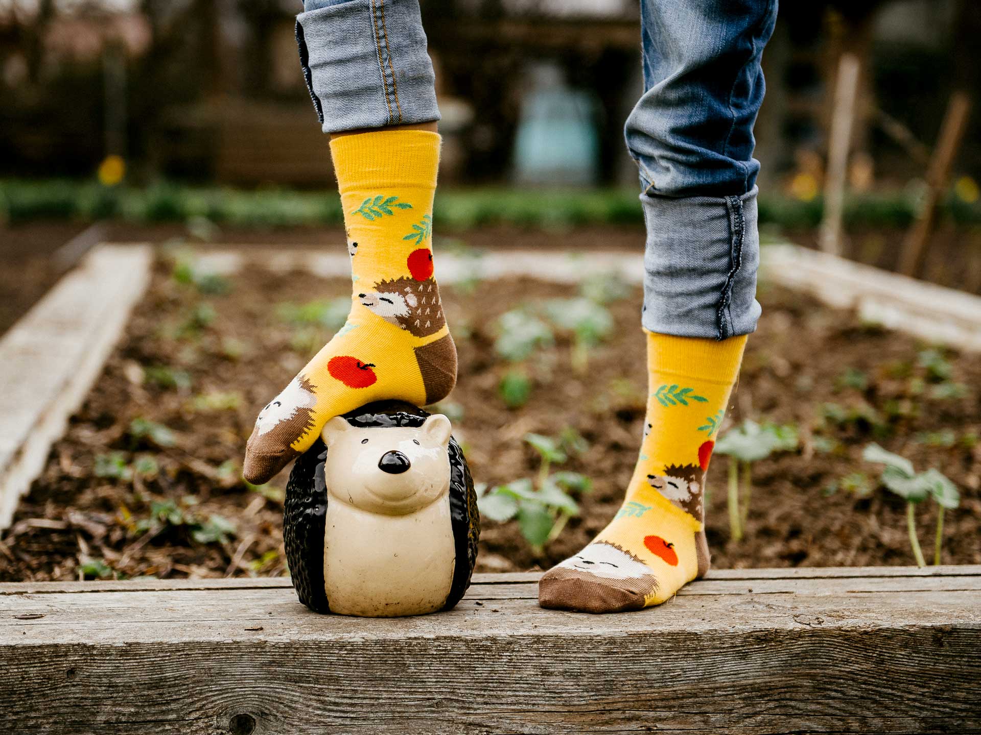 Veselé ponožky Ježko – Detské